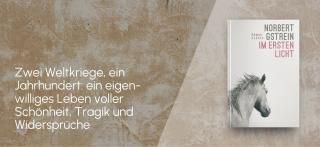 Beige Wand. Link zum Buch Im ersten Licht.