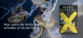 Quallen. Link zum Buch EDEN.