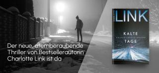 Dunkle Straße im Winter mit einer Person. Link zum Buch Kalte Tage.